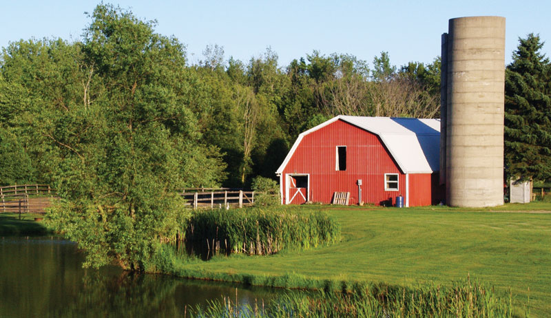 THE RETURN TO AN UNFAMILIAR HOMESTEAD